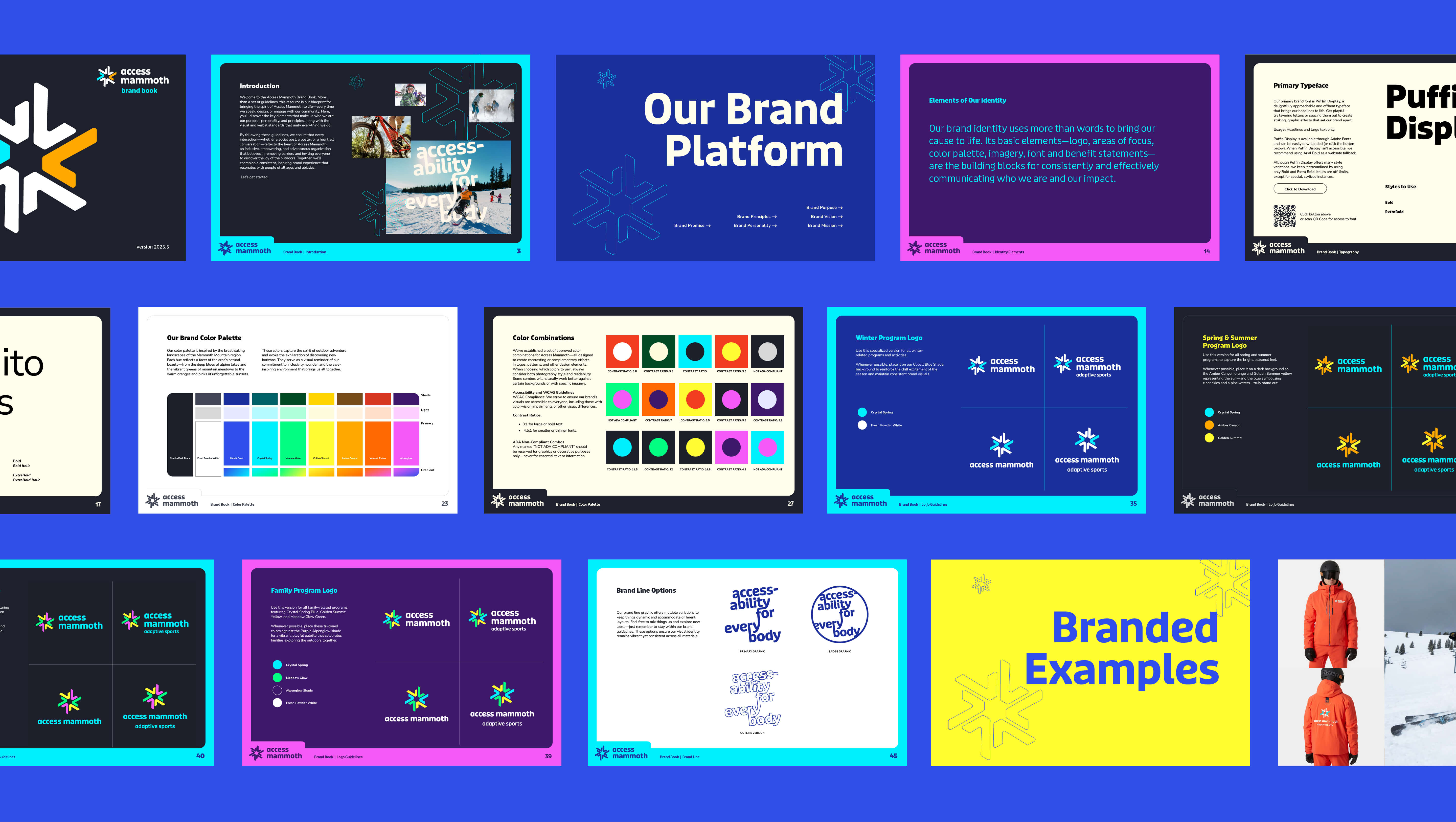Access Mammoth Brand Guidelines