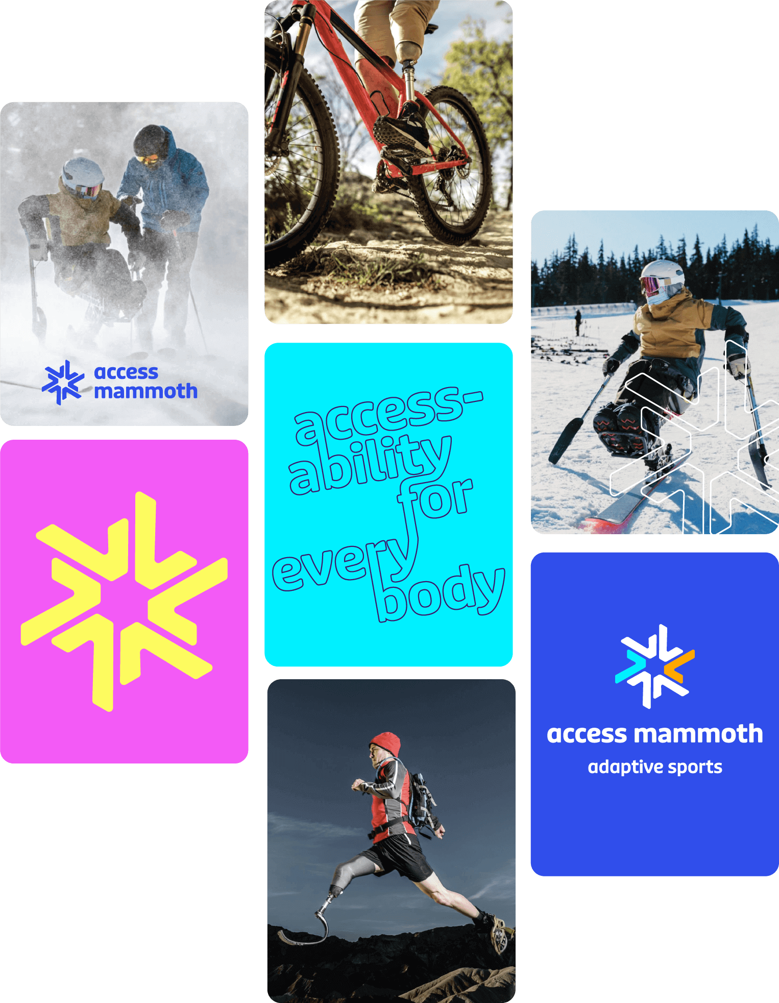 Grid of lifestyle photos and branded Access Mammoth graphics