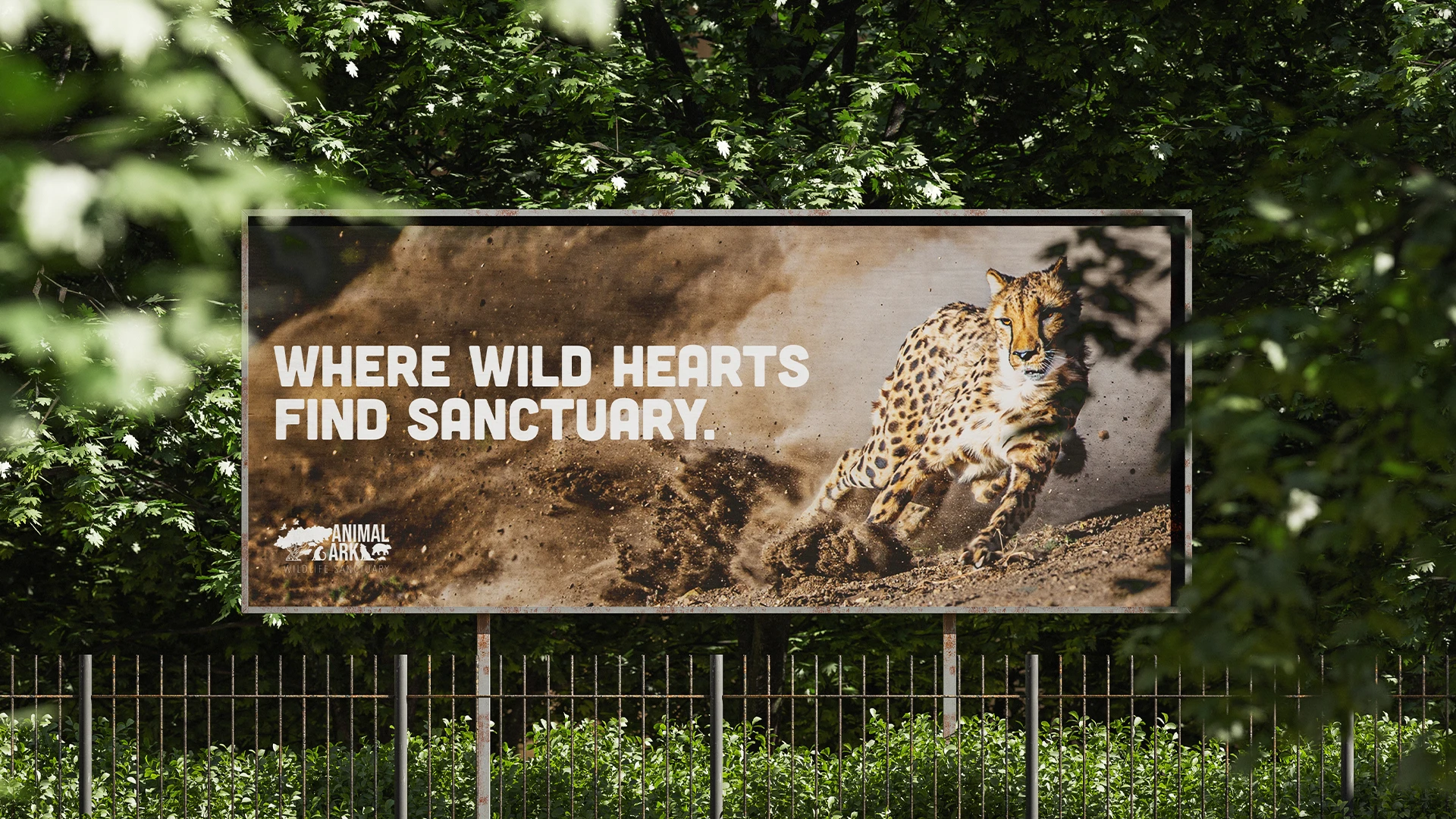 Animal Arc Billboard