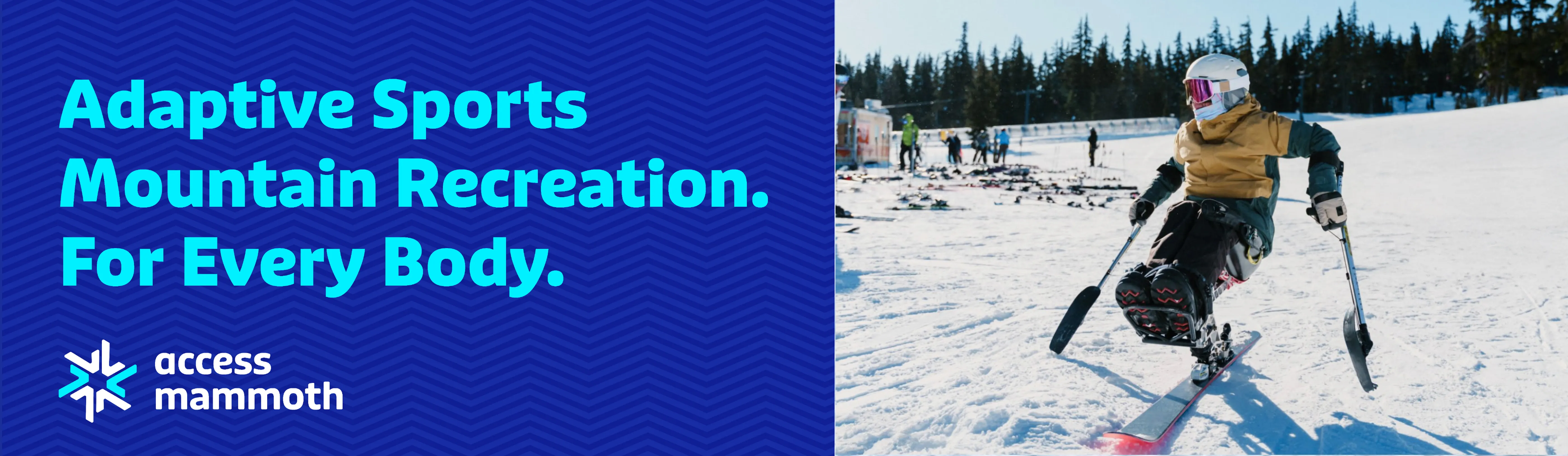 Access Mammoth Winter Billboard Mockup