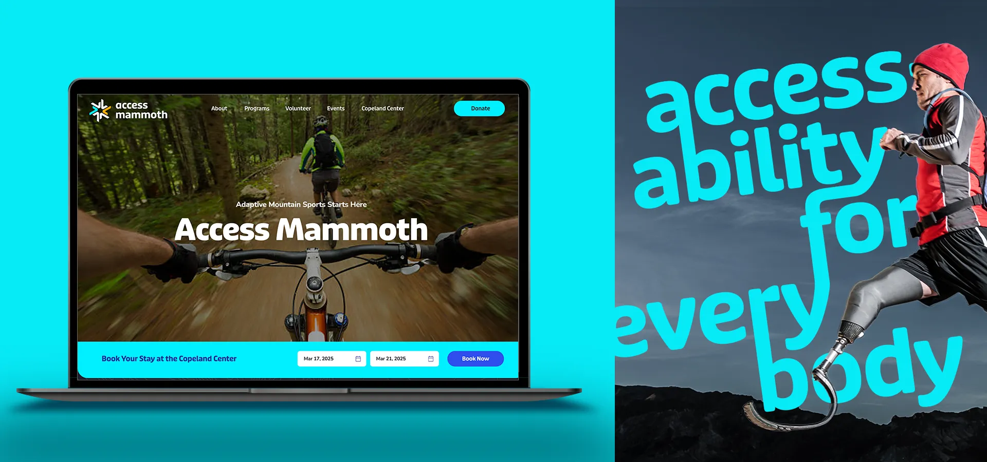 Access Mammoth Case Study