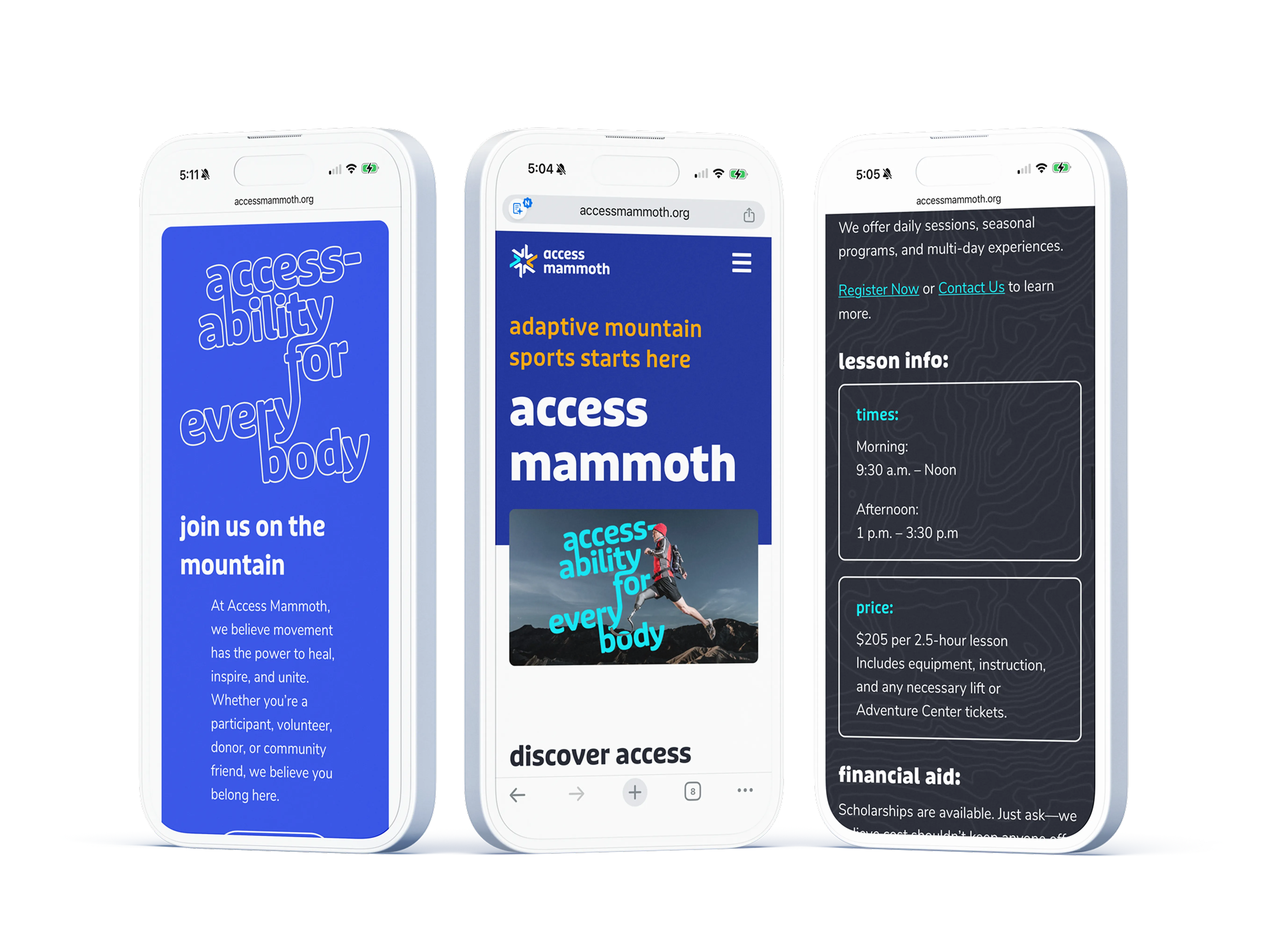 Access Mammoth Website Mockup on Smartphones