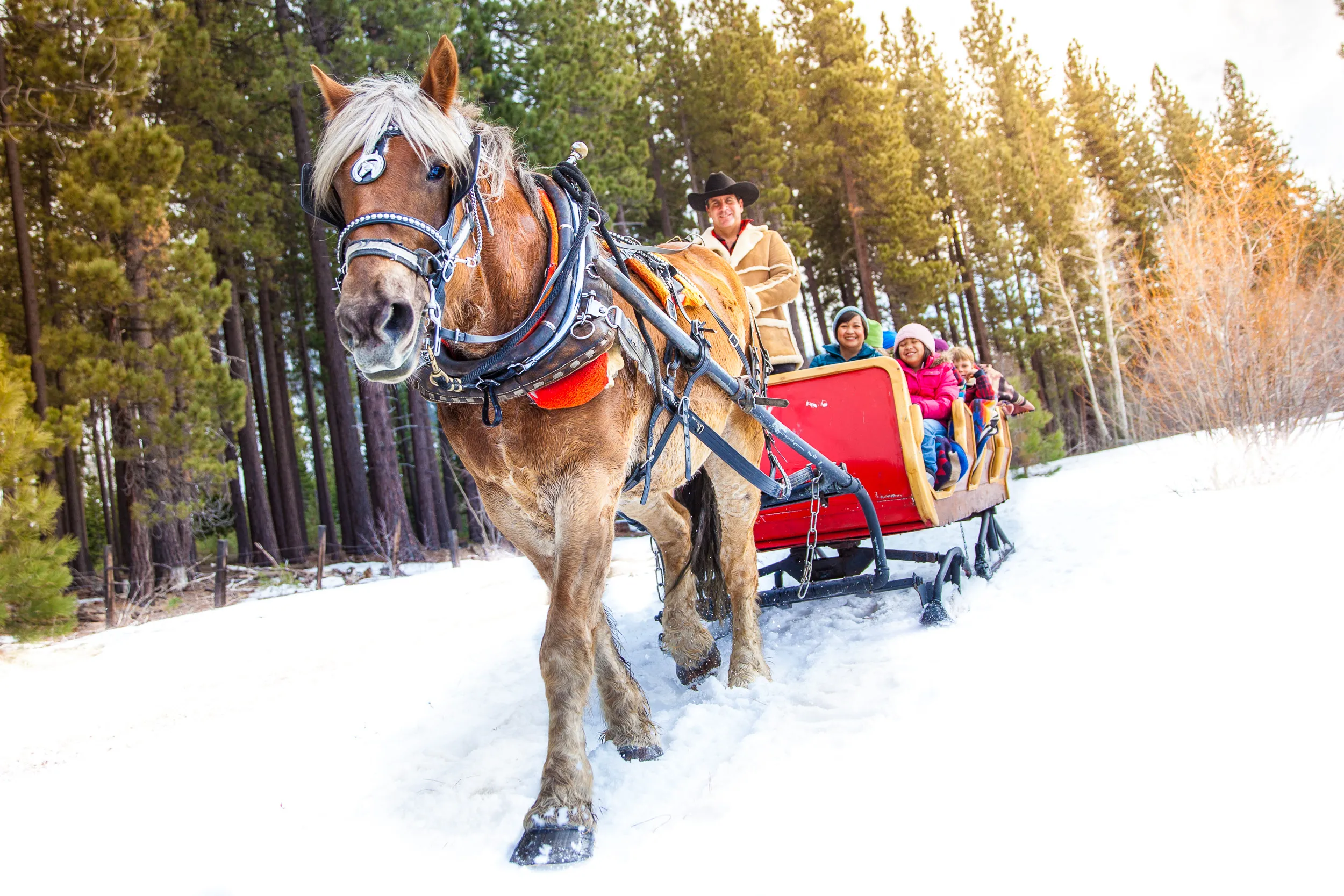 laketahoe-travel-photography